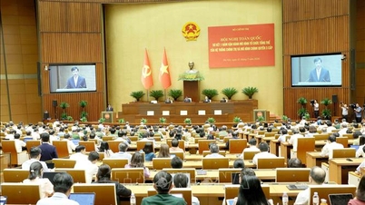 Sơ kết 1 năm vận hành mô hình tổ chức tổng thể của hệ thống chính trị và mô hình chính quyền 3 cấp