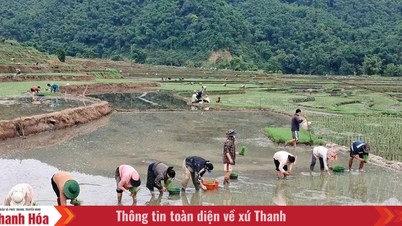 តាមលូ បន្ទាប់ពីរយៈពេល 1 ឆ្នាំនៃការអនុវត្តប្រព័ន្ធរដ្ឋាភិបាលមូលដ្ឋានពីរជាន់។