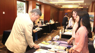 Da Nang pone en marcha una serie de actividades de promoción turística en Corea del Sur.