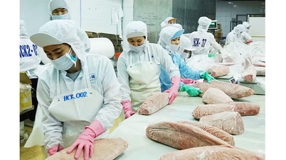 پائیدار برآمدی نمو کو فروغ دینا۔