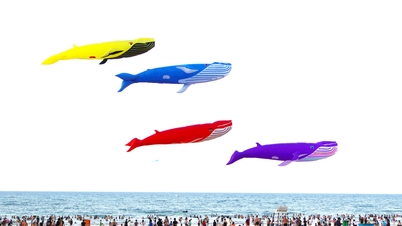 Quang Phu is tapping into the new attractions of Tam Thanh beach.