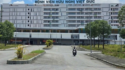 Od 10 lipca filia szpitala Viet Duc w Ninh Binh oficjalnie rozpocznie działalność.