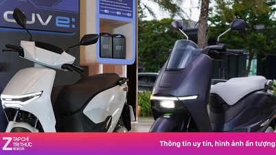 Comparación rápida entre la Honda Cuvée y la Honda UC3: ¿Cuáles son las diferencias que justifican la diferencia de precio?