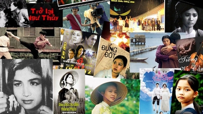 ปลดปล่อยพลังแห่งความคิดสร้างสรรค์ของภาพยนตร์เวียดนาม