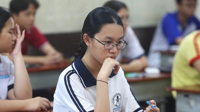 Skor peperiksaan tamat pengajian sekolah menengah dalam Biologi: Ninh Binh mendahului, Bandar Raya Ho Chi Minh mendominasi dengan skor sempurna (10/10).