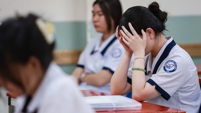 기술 및 법률 교육 과목에서 충격적인 결과가 나왔습니다. 응시자의 거의 48%가 평균 이하의 점수를 받았으며, 전국적으로 만점(10점 만점)을 받은 사람은 단 2명에 불과했습니다.