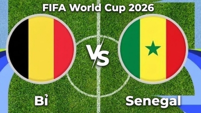 Nhận định, dự đoán trận đấu Bỉ vs Senegal: Khó phân thắng bại
