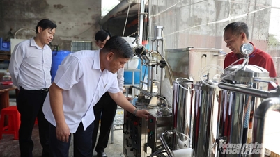 Genossenschaften streben eine führende Rolle in der ländlichen Wirtschaft von Ho-Chi-Minh-Stadt an.