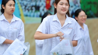 닌빈은 문학 분야 평균 점수에서 전국 최고를 기록하고 있습니다.