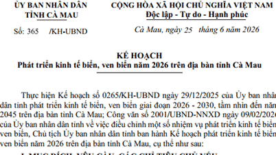 Quy hoạch kinh tế biển Cà Mau năm 2026: Đẩy mạnh hạ tầng cảng biển và năng lượng xanh