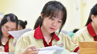 Az országos 5 legjobb pontszámmal (10/10) rendelkező település közül Hanoi vezeti a listát.