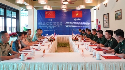 Reunião trimestral e apresentação de informações para o segundo trimestre de 2026 - Jornal online Cao Bang