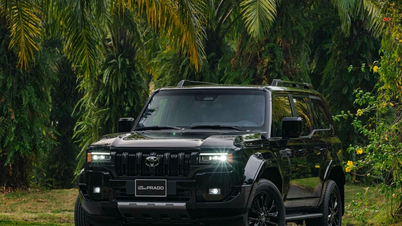 Toyota Vietnam rappelle 563 véhicules Land Cruiser Prado pour une mise à jour logicielle.