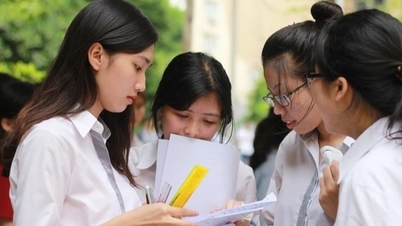 Top 100 thí sinh đạt điểm cao khối A01, không có điểm tuyệt đối