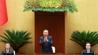 Le Politburo examine une année de fonctionnement du modèle organisationnel global du système politique et gouvernemental à trois niveaux.