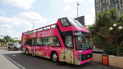 El 4 de julio, la ciudad de Ho Chi Minh puso en funcionamiento autobuses turísticos de dos pisos de color rosa.