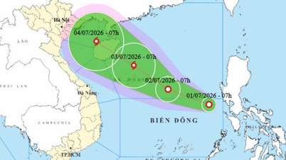 Biển Đông xuất hiện áp thấp nhiệt đới, bão số 1 năm 2026 có thể sắp hình thành