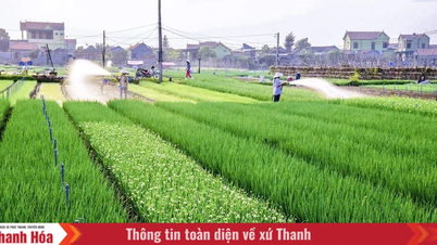 Strengthening the management of planting area codes and agricultural product testing facilities for export purposes.