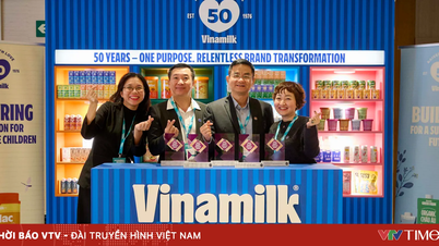 Understanding consumers: The secret to the success of Vietnamese milk brands.