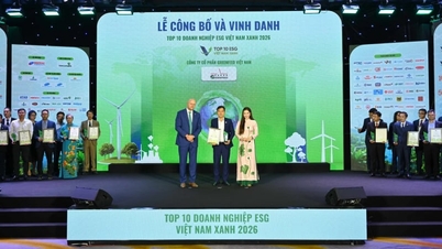 Greenfeed, Vietnam'daki en iyi 10 yeşil ESG işletmesinden biri olarak ödüllendirildi.