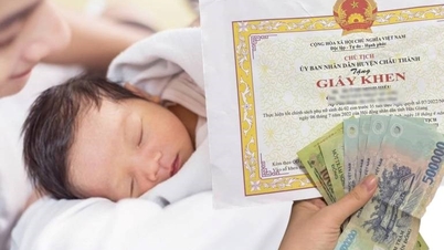 Autoridade: Todas as mulheres que deram à luz dois filhos antes dos 35 anos receberão um auxílio mínimo de 2 milhões de VND.