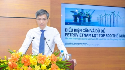 Petrovietnam dąży do dołączenia do grona 500 największych firm na świecie.