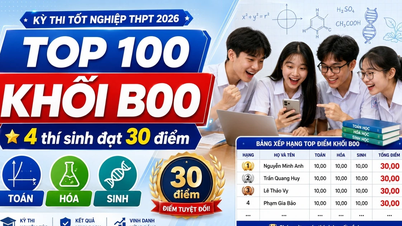 2026 yılında B00 grubunda en yüksek puan alan ilk 100 aday: 4 aday 30 puanlık mükemmel bir skor elde etti.