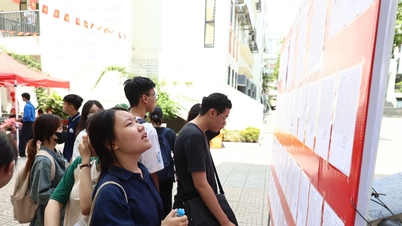 Ninh Binh, Ho Chi Minh-Ville et Hanoi sont en tête du classement des résultats aux examens de fin d'études secondaires de 2026.