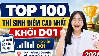 Hanoi domină topul celor mai bine clasați 100 de candidați cu cele mai mari scoruri din grupa de materii D01.