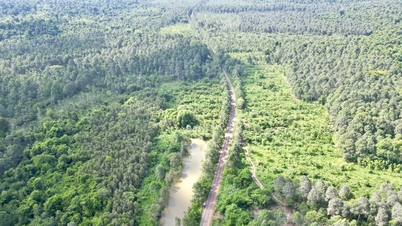 Premières images de la route surélevée à 8 voies traversant la forêt de Ma Da.