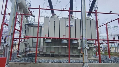 EVNNPT dynamise deux projets visant à renforcer l'approvisionnement en électricité de la province de Tay Ninh et de la ville de Dong Nai.