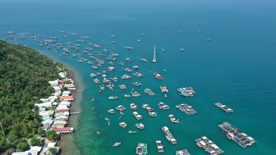 Proposta di costruire una diga frangiflutti da 300 miliardi di VND per proteggere Hon Nghe, un'isola di importanza strategica.