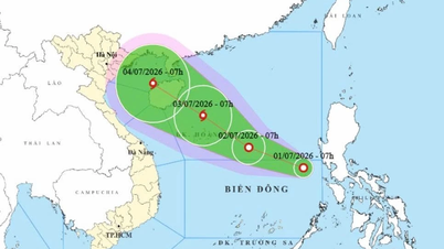 Depresi tropis di Laut Cina Selatan berpotensi menguat menjadi topan nomor 1, dengan probabilitas 70% memasuki Teluk Tonkin.