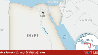 Et trehjulet køretøj styrtede ned i en kanal i Egypten og dræbte ni børn.