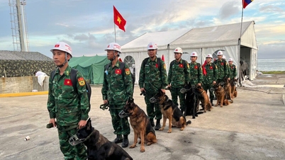 Vietnamesiske redningsstyrker finder otte jordskælvsofre i Venezuela.