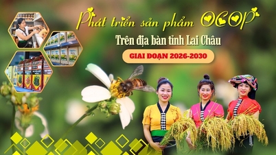 2026년부터 2030년까지 라이쩌우성에서 OCOP 제품 개발