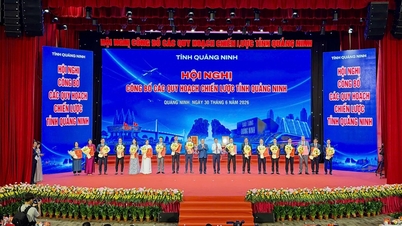 Quang Ninh anunță un plan strategic și acordă investiții de aproape 45.000 de miliarde de VND.