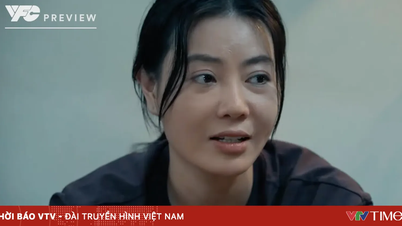 Di Bawah Jendela yang Terang - Episode 21: Ibu Tài bermaksud mempercayakan putranya kepada Nguyệt.