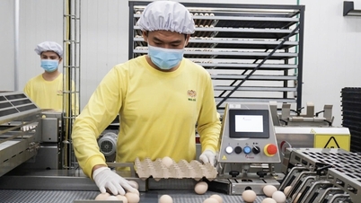 Η Tay Ninh χρησιμοποιεί τα πρότυπα ESG ως σημείο αναφοράς για την προσέλκυση επενδύσεων υψηλής ποιότητας.