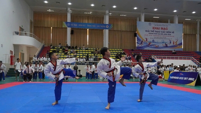 Hampir 6,000 atlet bertanding dalam Sukan Musim Panas Bandar Hanoi 2026.