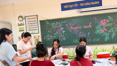 ハノイの小学校就学率：