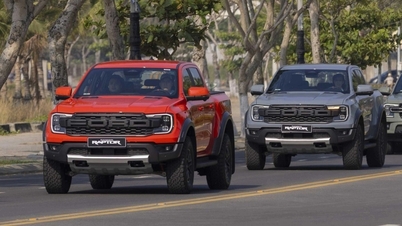 Consumenten zijn verheugd met het nieuws dat pick-up trucks vanaf 1 juli net als personenauto's op de openbare weg mogen rijden.