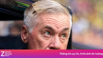 안첼로티 감독의 '세상을 꿰뚫어 보는' 눈을 가까이에서 살펴본다.