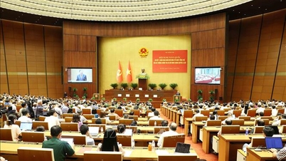 Kerajaan tempatan dua peringkat: Banyak cadangan daripada amalan akar umbi.