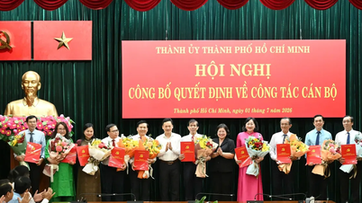 Ho Si Minh-város személyzeti döntéseket hoz a Saigon Giai Phong újság, a Tuoi Tre online újság és a Ho Si Minh-városi rádió- és televízióállomás személyzeti kérdéseivel kapcsolatban.