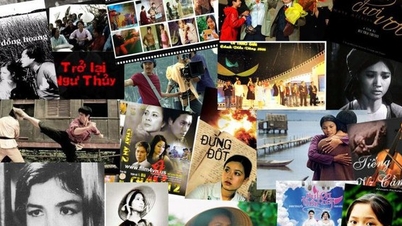DANAFF Industry Days: Leveraging connections and promoting the Vietnamese film industry.