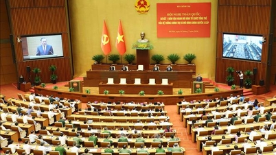 Повышение качества функционирования новой организационной модели политической системы.