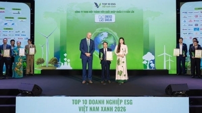 A Simexco Daklakot Vietnam 10 legjobb zöld ESG vállalata közé választották.