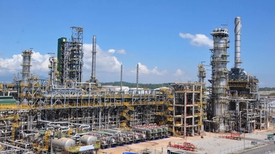 В'єтнамська нафтопереробна та нафтохімічна компанія витрачає понад 1,5 трильйона донгів на виплату дивідендів за понад 5 мільярдів акцій.