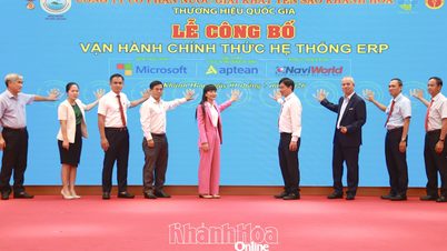 A Khanh Hoa Bird's Nest Italgyártó Részvénytársaság hivatalosan is bevezette az átfogó vállalatirányítási rendszert.